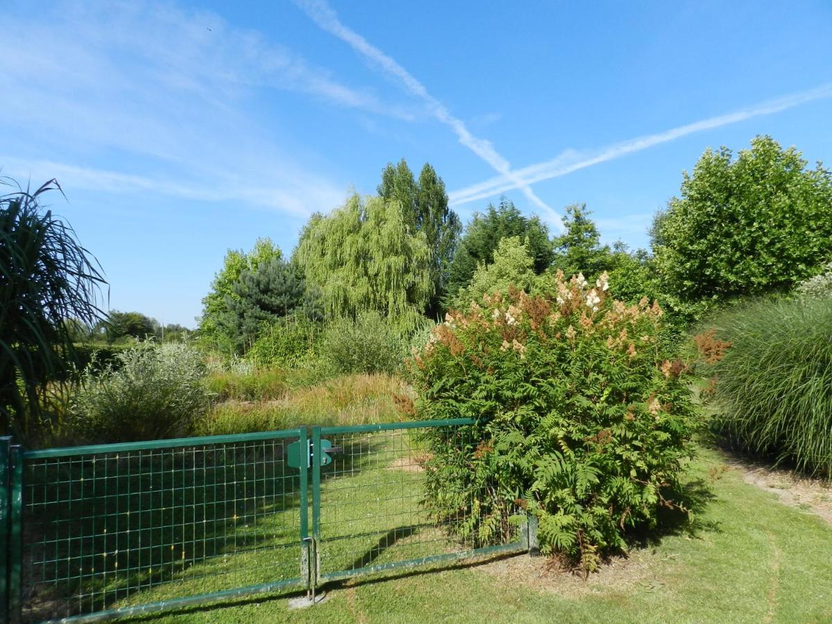 Gîte La Grenouillère Esqueheries Esterno foto