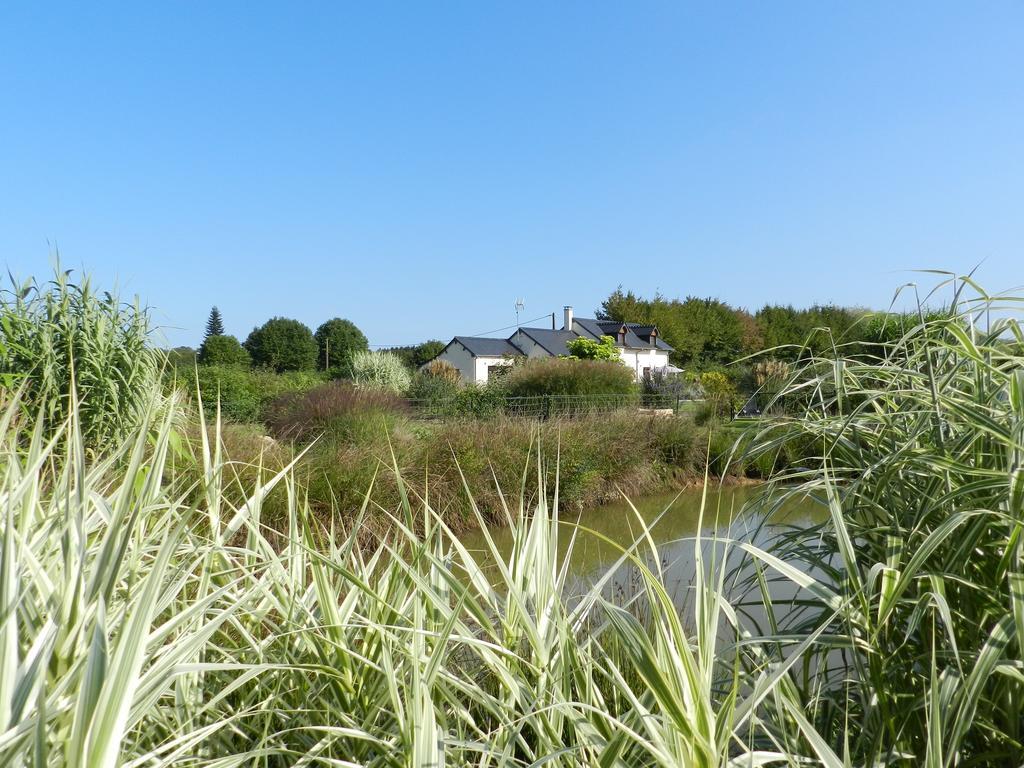 Gîte La Grenouillère Esqueheries Esterno foto