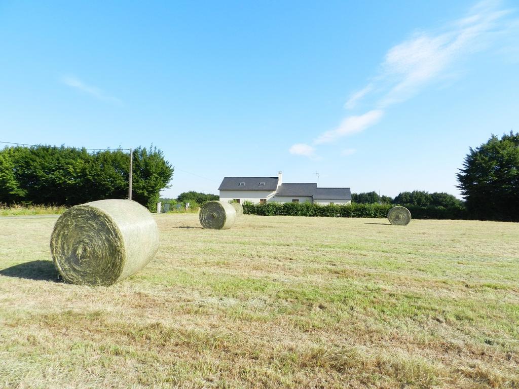Gîte La Grenouillère Esqueheries Esterno foto