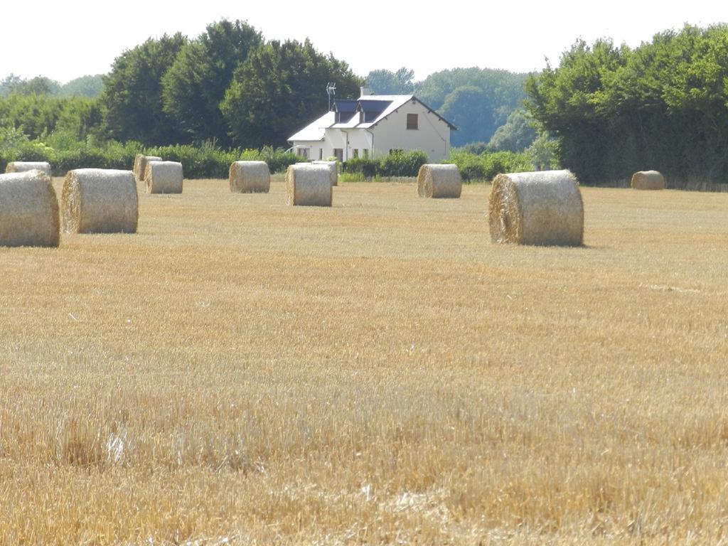 Gîte La Grenouillère Esqueheries Esterno foto